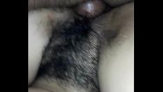 Reproducir callo húmedo de pelo liso indio