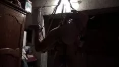 চালান একটি জাপানি দ্বারা সমর্থিত ওভার পেতে