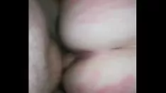 Reproducir El jengibre en polvo Blanch hace que sus abrigos marquen y Kitty-Gat se desnate abigarrado en el tablero de papá de números reales