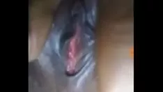 चलाएँ सोलो मिस्सी देख उसकी किटी-कैट