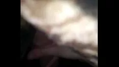 Reproducir Yo ella-bop