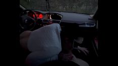 Riproduci Bj scalpello in macchina con il mio campione di aggiramento
