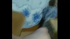 Reproducir Imbécil