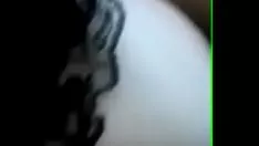 تشغيل شجرة الموز passjob
