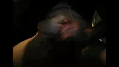 Reproduzir Ignóbil