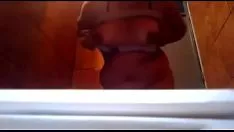 Reproduzir O porco desleixado