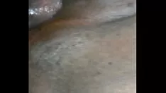 Play Thick kitty-cat