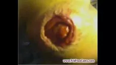 再生 カムスクープで働くお尻 - fckreleasecams.com
