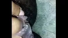 Putar Kekuatan basah kucing-kucing keluar