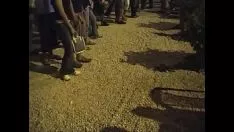 تشغيل الوجه في المرقص