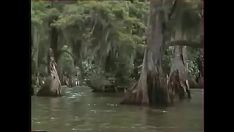 Reproduzir Jacaré ii (os homens não dizem histórias) (1988, f)