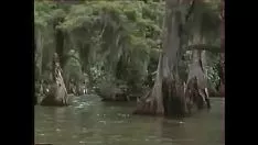 Reproduzir Jacaré ii (os homens não dizem histórias) (1988, f)