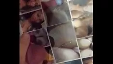Oynat Tributo dünya şampiyonuna bir övgü