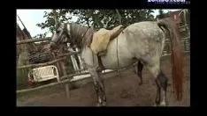 Abspielen Xvideo Recordings.com 01f786997247e92bca5ac6ded1faba86-1