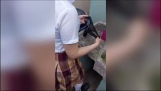Riproduci Una studentessa adolescente che si lava le mutandine viene sorpresa dal patrigno quando non c'è nessun altro a casa, fatto davvero fatto in casa.