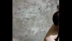 Reproduzir Número 1 número real presa forro wi1000t