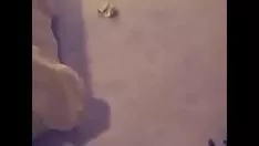Jouer prostituée exprimée